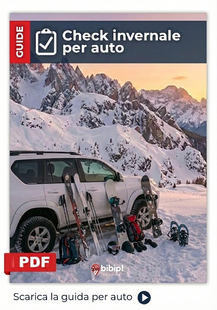 Check Invernale per la neve Auto